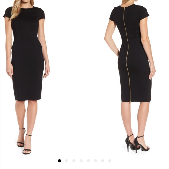 NWT Felicity &Coco Ward Seamed Pencil Dress ZIPPER - Picture 6 of 8